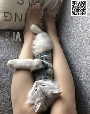 大长金_在线完整观看